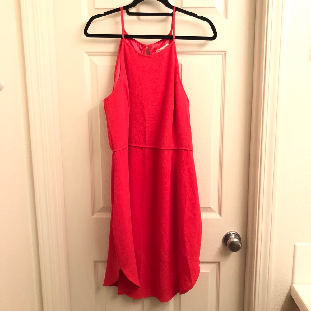 NWT Paper Crown Midi dress